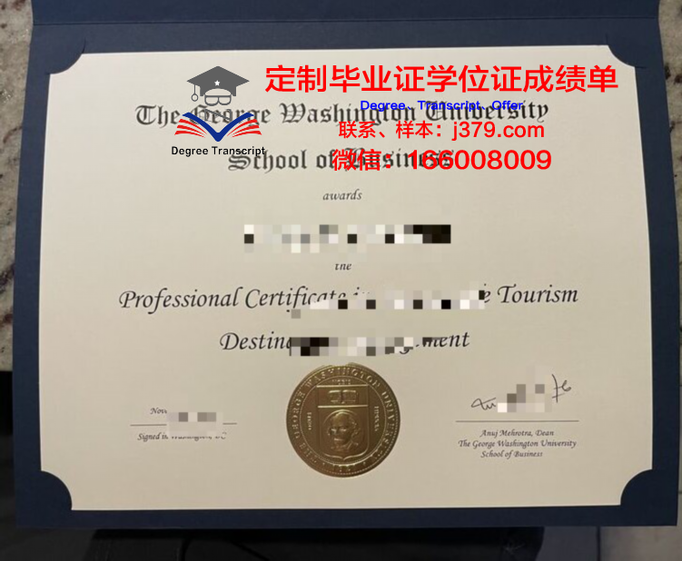 乔治顿硕士证书:校友网络与行业影响力探究