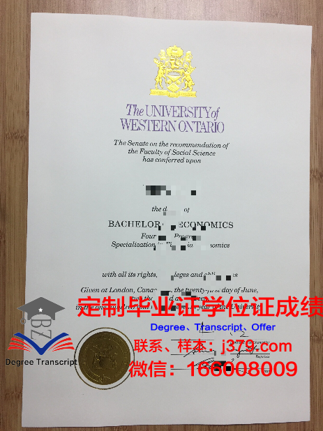 西安大略大学学术证书及成绩单