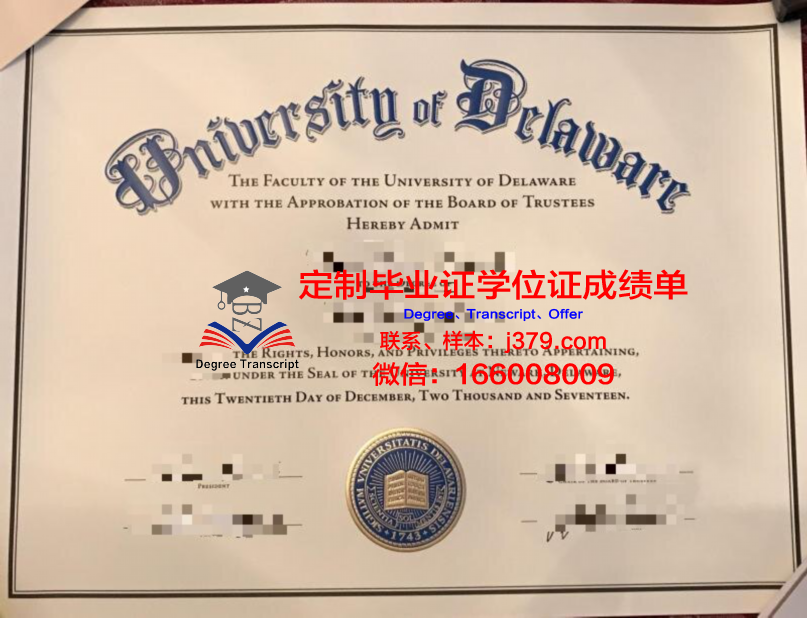 特拉华州立大学本科学位文凭