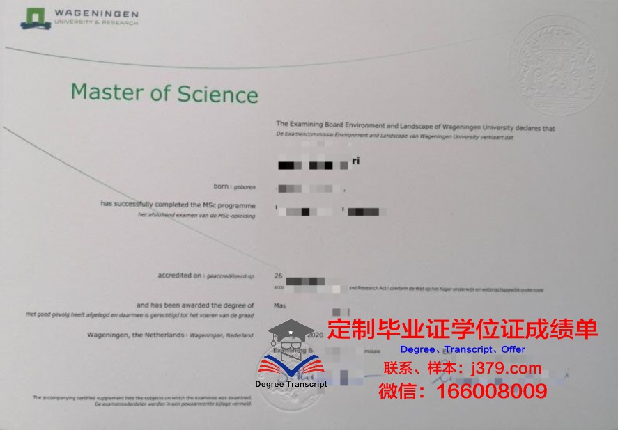 芒大毕业证学历在职场中的价值