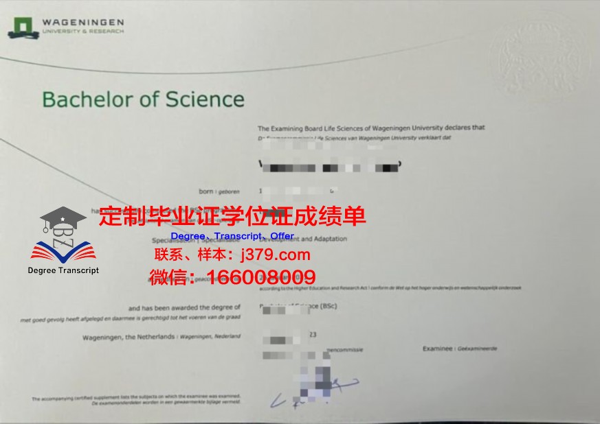 维戈校际本科毕业证书
