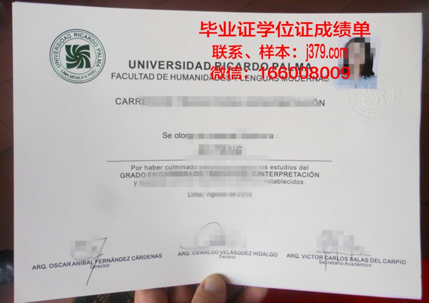 深入剖析里卡多证书成绩单的评分标准