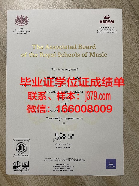 阪市大毕业证书模板:历年版本对比分析