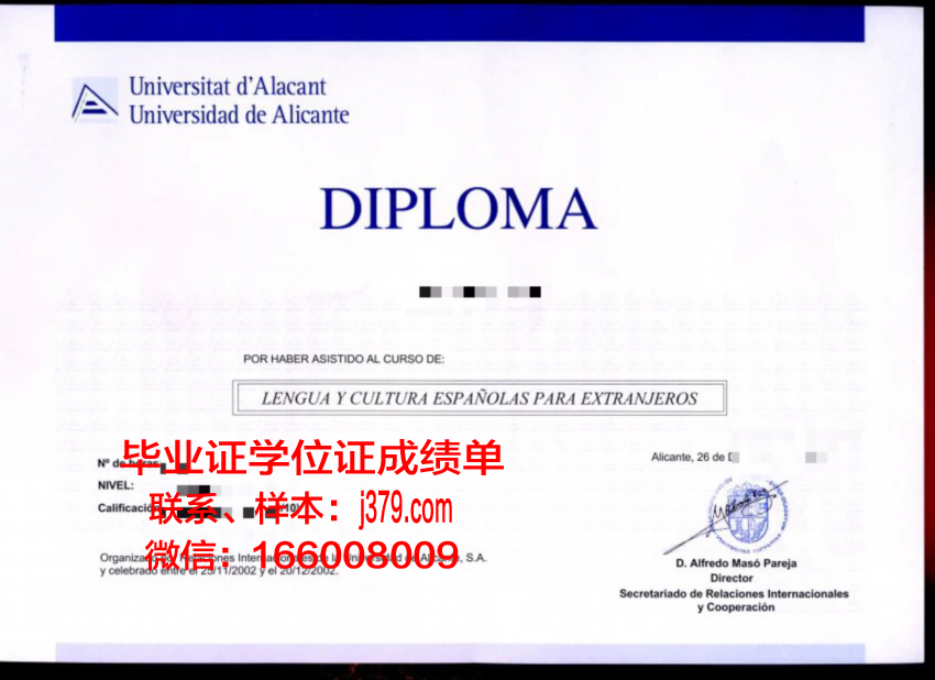 全面解读:里坎特成绩单中的亮点与不足