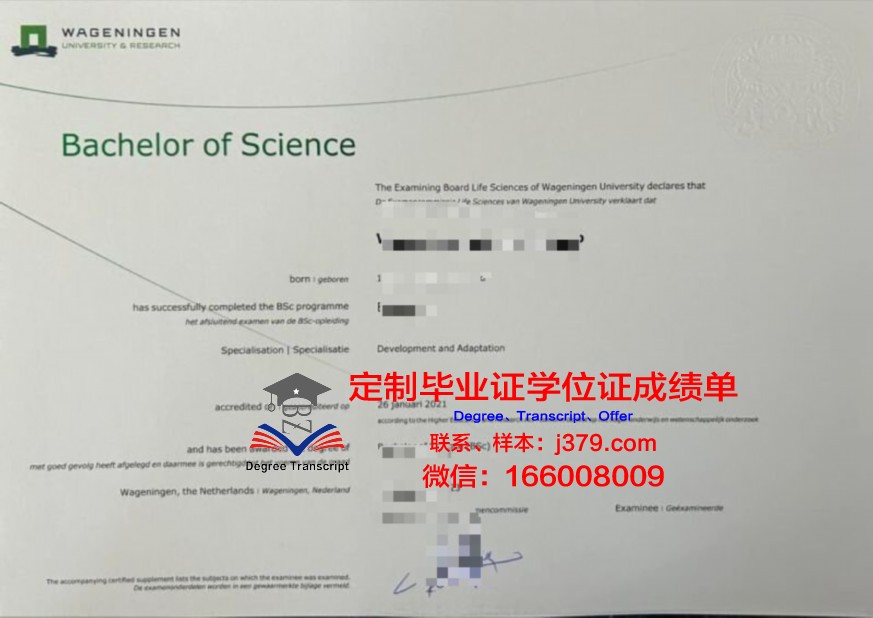 阿根廷本科证书:国际学生招生政策解读