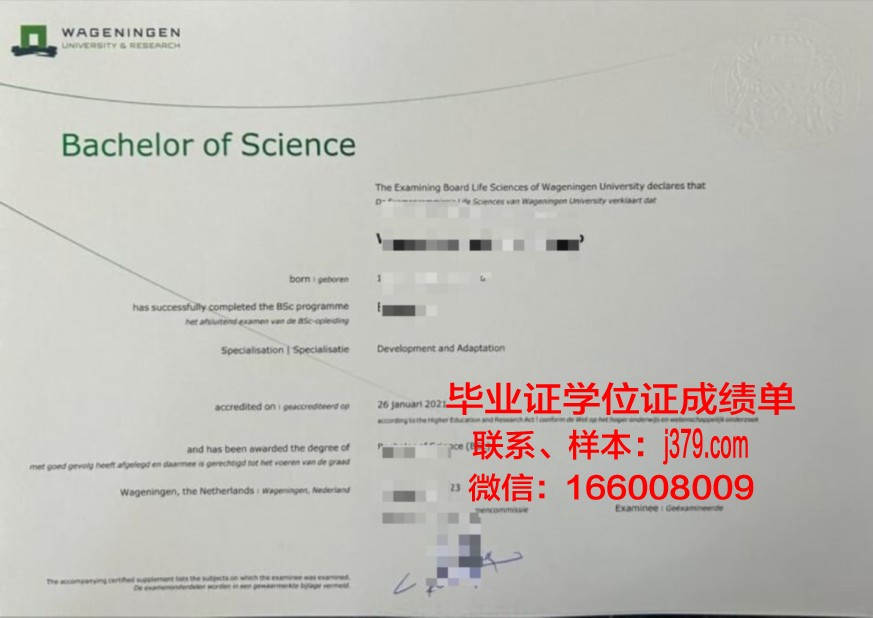 岐大本科证书与研究生教育的关联