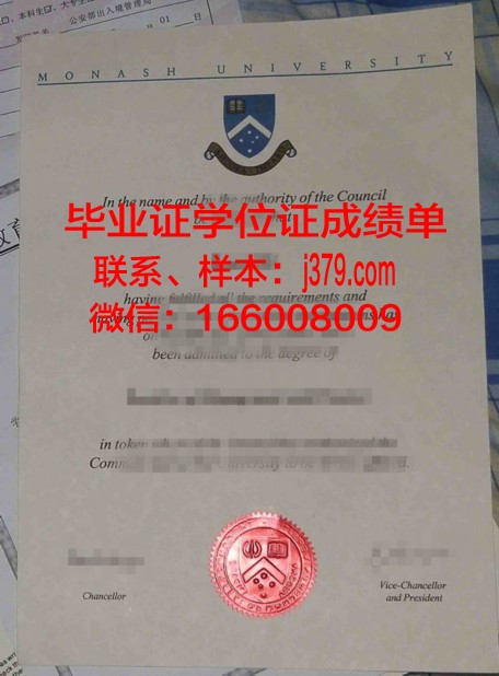 曼苏拉大学专业文凭证书