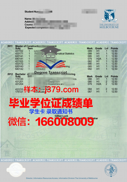 玛工成绩单解析:全面解读你的学术表现