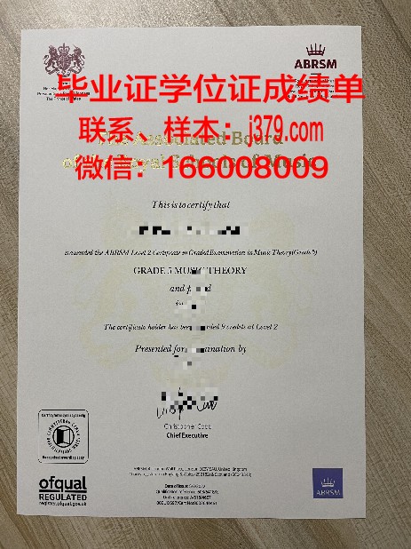 九大Diploma证书课程推荐与选择