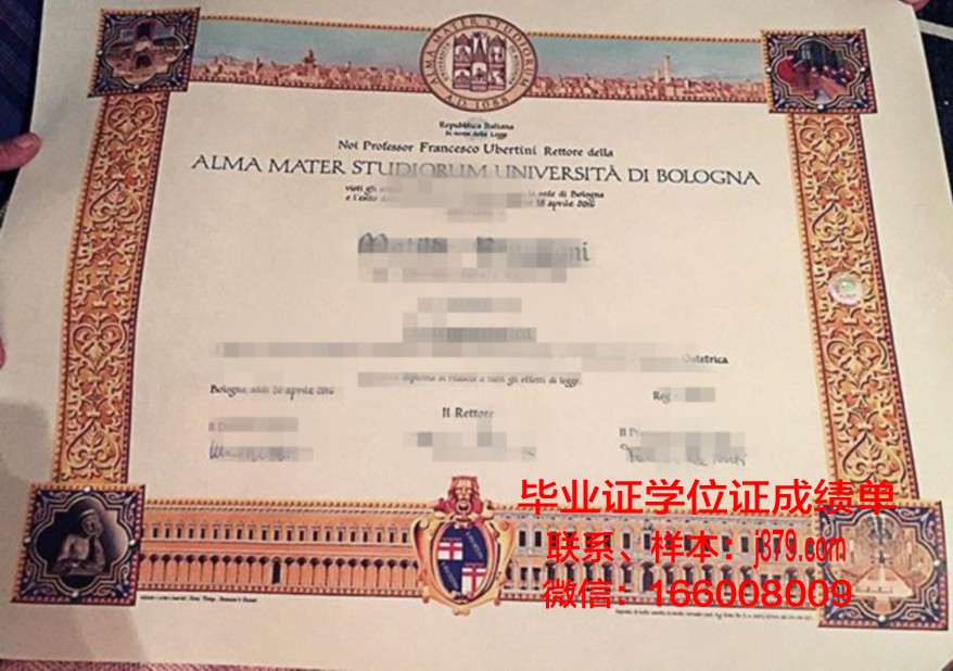 艾尔弗尼亚大学学业成绩证明与毕业证书