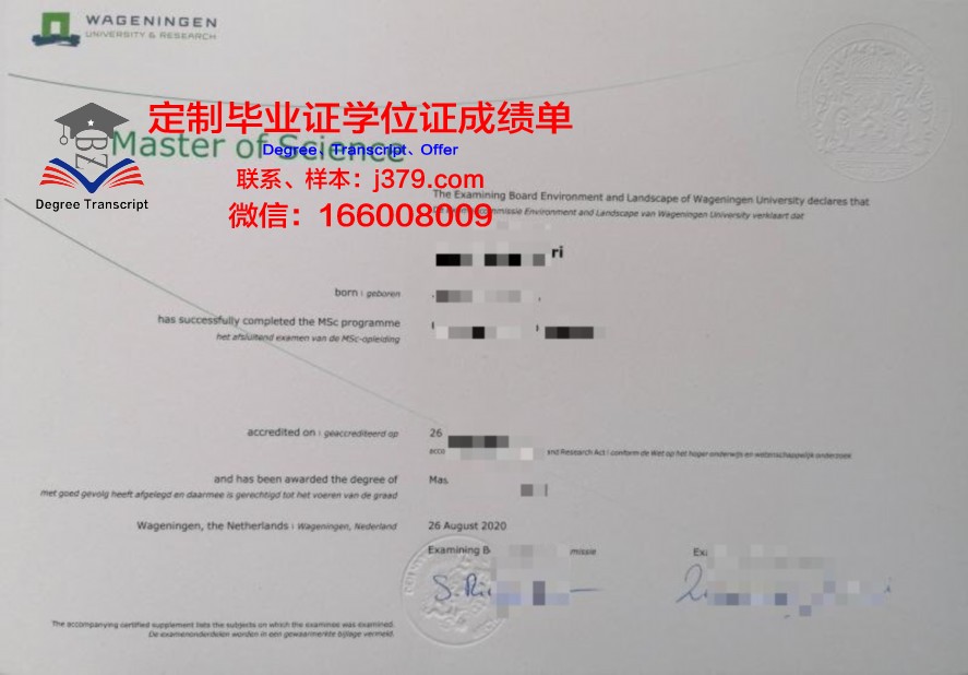 乌勒支硕士证书:就业指导与职业规划建议