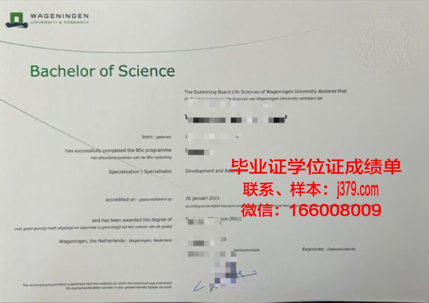 AMA计算机学院本科证书