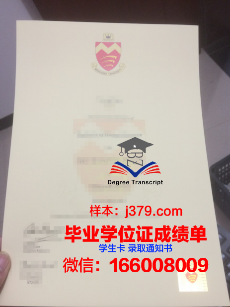 米德尔伯里学院本科证书