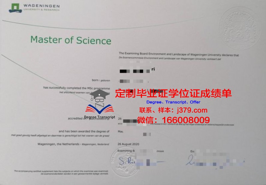 探索South Aus Uni本科毕业证:专业设置与课程特色