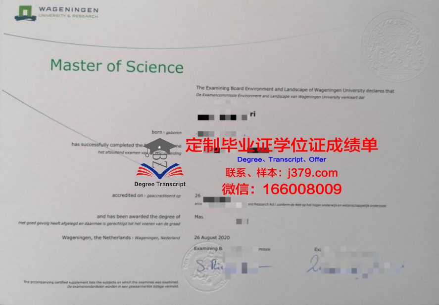 史院毕业证文凭:历史学科人才市场需求