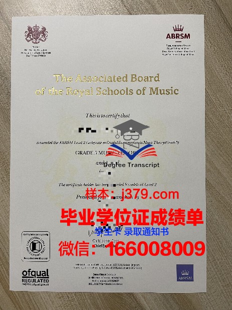 ITech Diploma证书:职场晋升的黄金通行证