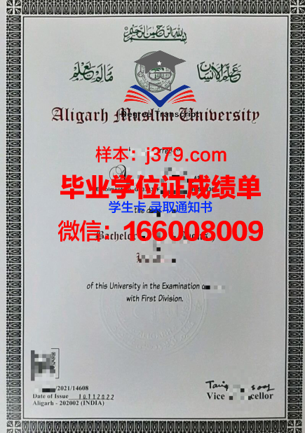 穆罕默德·阿里·金纳大学学历证明资料