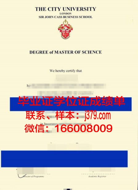 卡斯大Diploma证书的就业前景分析