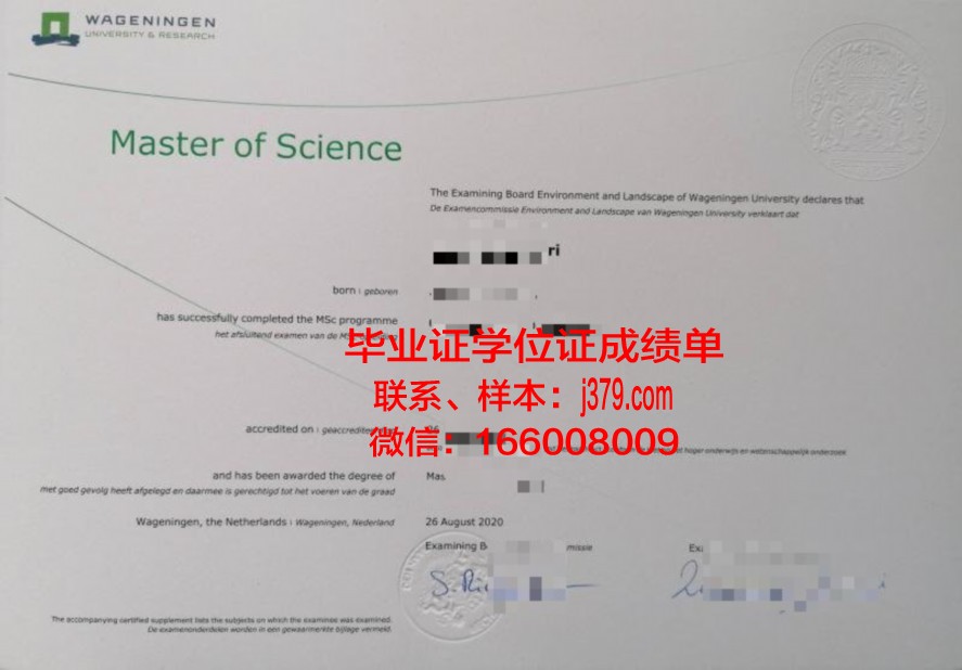 湖大毕业证电子版使用常见问题解答