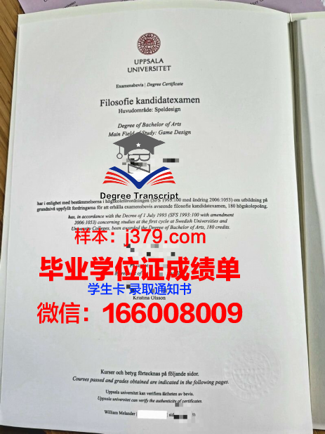 探索乌普萨拉成绩单:评估与排名标准解析