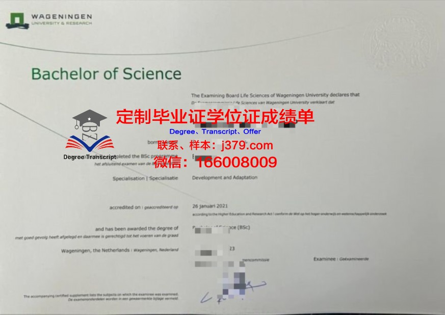 挪科大本科证书:奖学金申请与资助政策解读