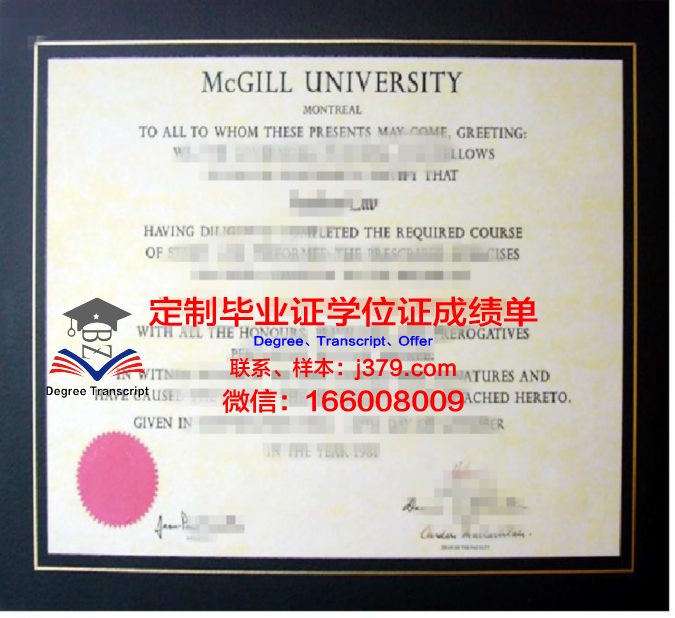 麦基尔研究生证书课程设置解析