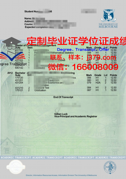深度解读:帕马大成绩单对教育行业的启示