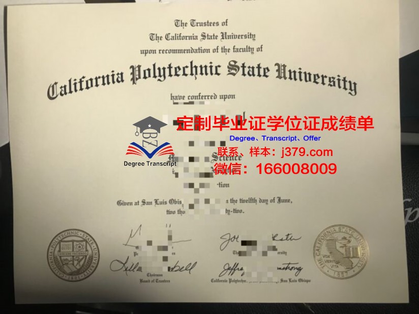彼理工Diploma证书的申请流程与技巧