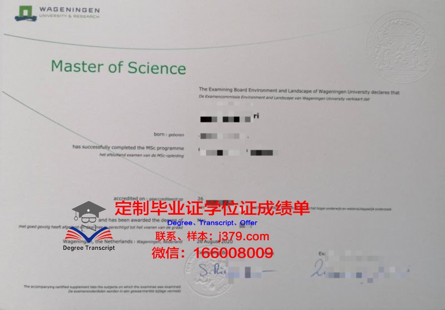 叶大硕士证书:如何成为行业佼佼者
