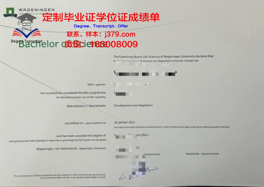 中昆大本科证书:含金量与就业前景分析