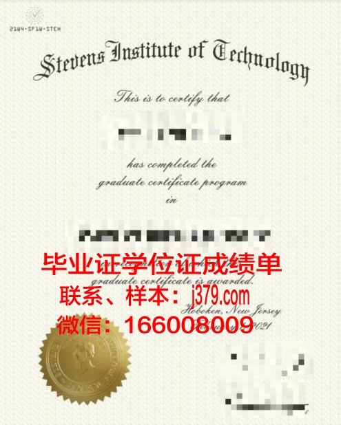 史蒂文斯学院学位证书持有者