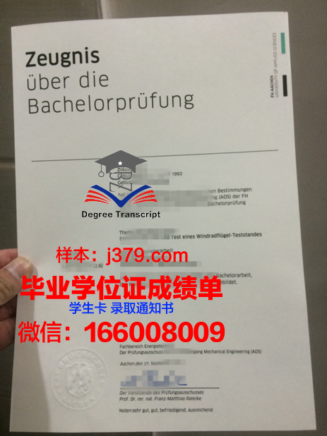 亚琛工学院本科证书项目特色解读