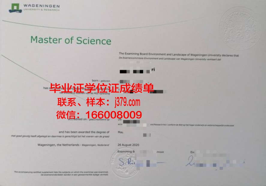 神大本科毕业证:毕业生薪资水平大揭秘