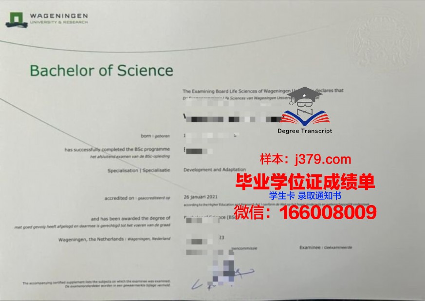巴工院本科证书的学术价值与意义