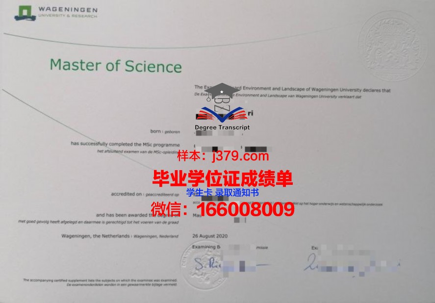 帝工毕业证成绩单样本及案例分析
