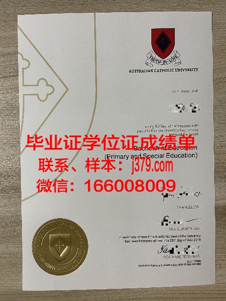 艾希施泰特天主教大学博士学业成就证书