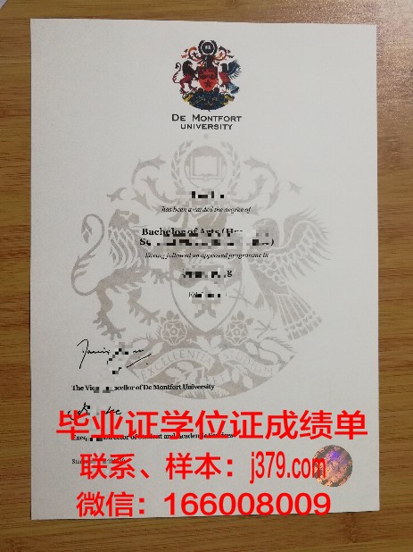 德蒙特福特大学本科学位文凭