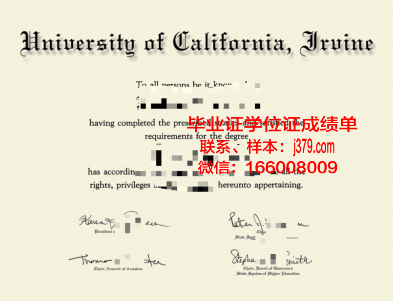 加州大学博士证书攻略:申请流程与要点解析