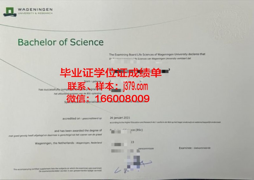 Madras Tech本科证书含金量解析:就业前景分析