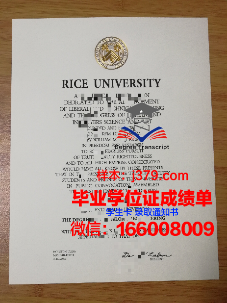 莱斯研究生毕业证在国内外认可度探究