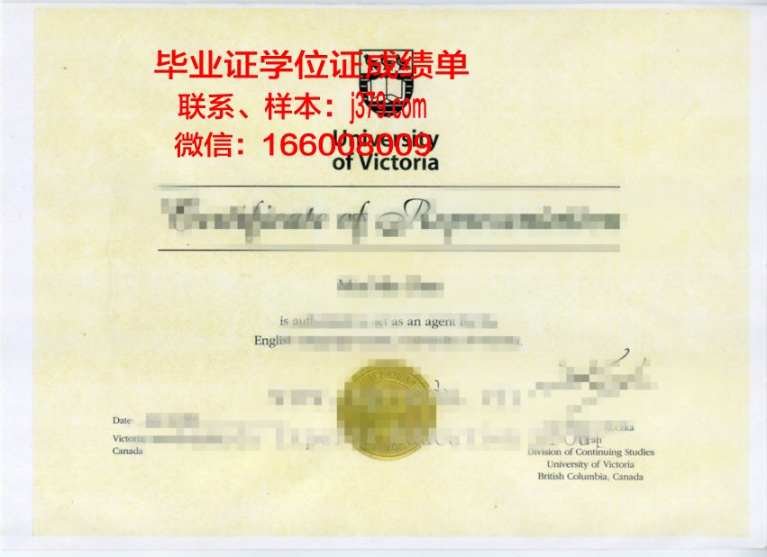 RP毕业证书样本模板