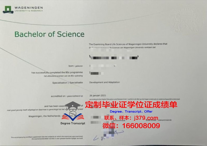 BCMH本科证书考试大纲:全面解析考试内容