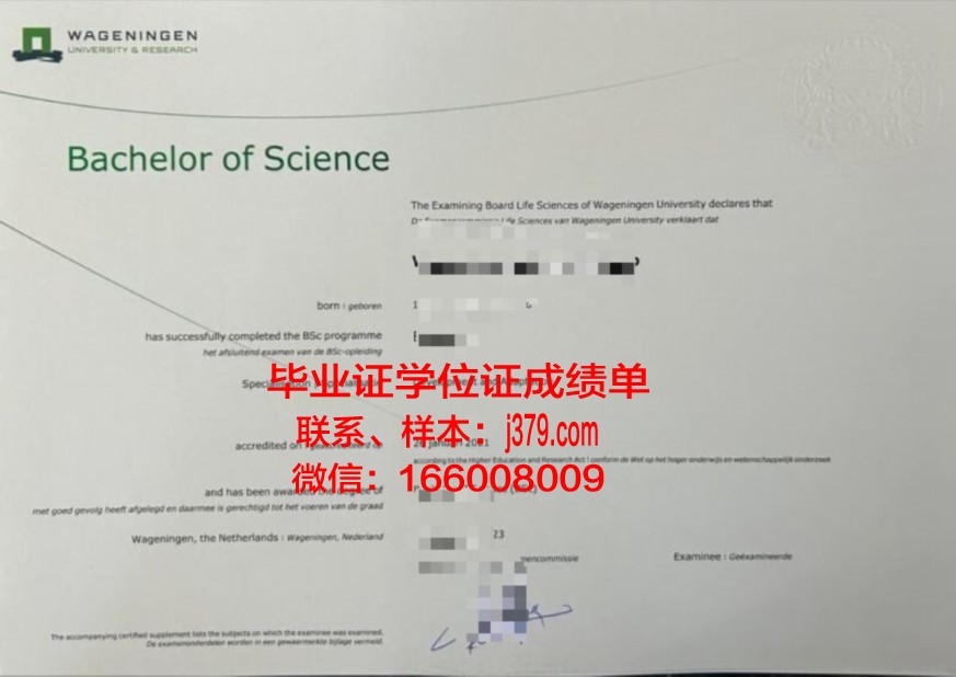 达大本科证书:如何提升个人竞争力与综合素质