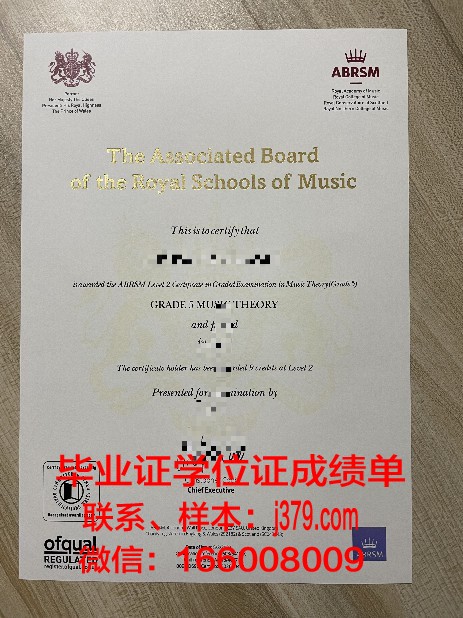 Goethe博士资格证书