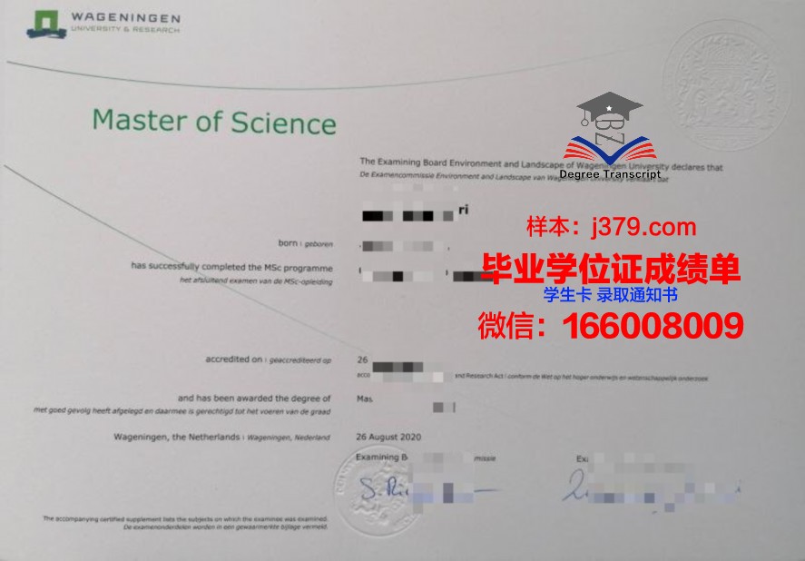 九大硕士证书含金量解析:投资未来,收获无限