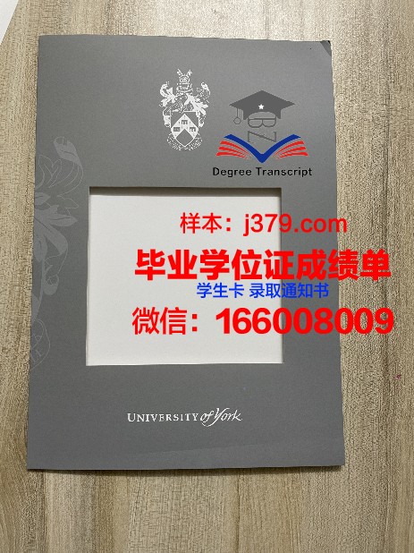 约克博士证书:职场晋升的加分项