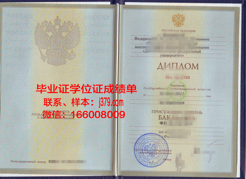 俄罗斯普列汉诺夫经济学院毕业证书Diploma