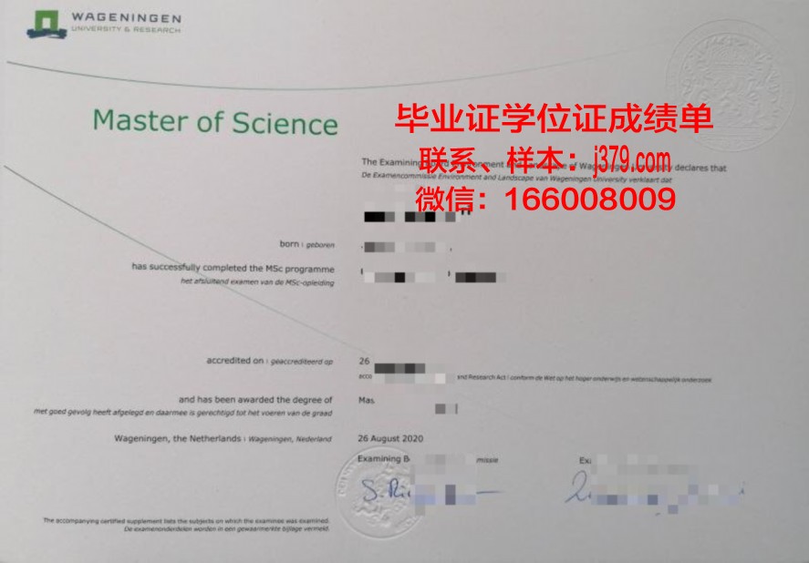 科技学院硕士证书与行业需求的匹配度