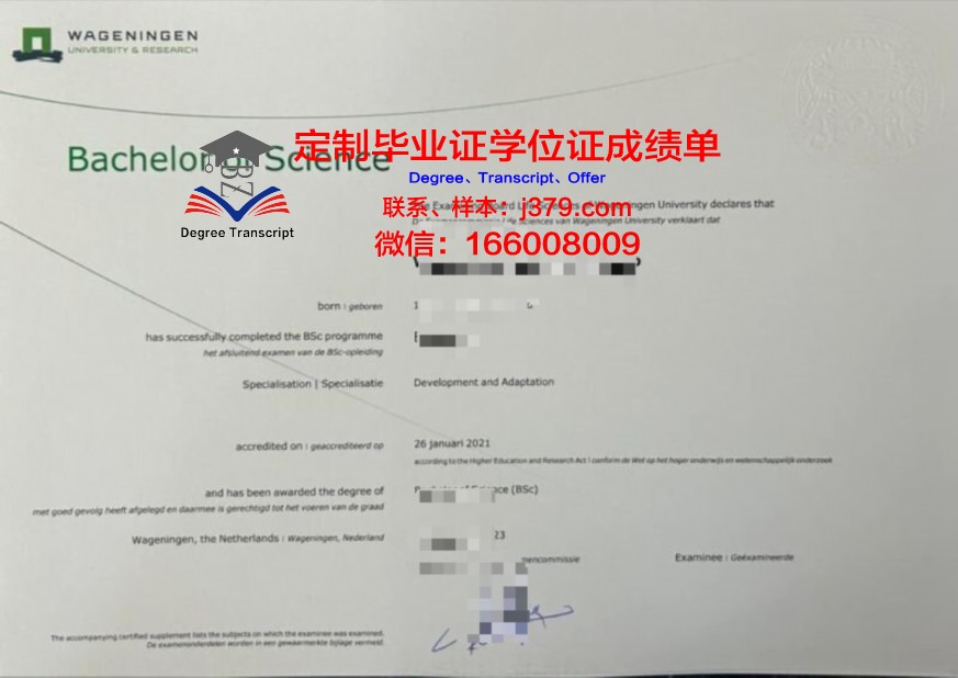 蒂大本科证书:专业课程设置与特色介绍