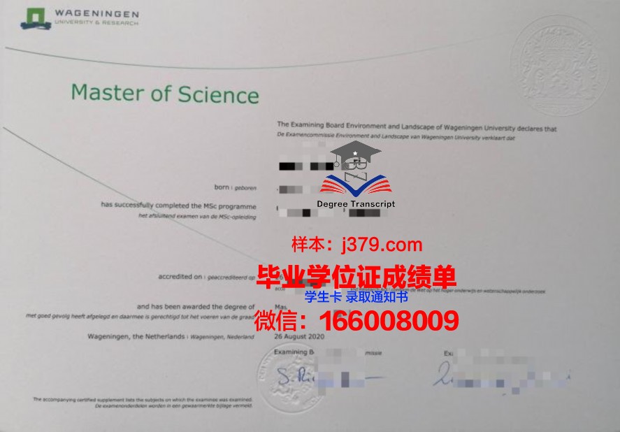 史学院博士毕业证与硕士、学士学位的对比分析